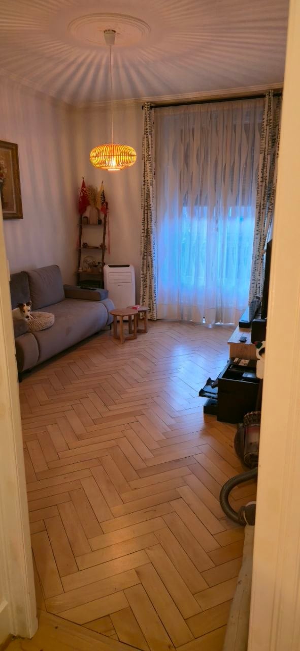 A modern living room with herringbone wooden flooring, a grey sofa with a small dog, a small wooden table and chair, a hanging lamp, a shelf with decorative items, and an air conditioner unit.