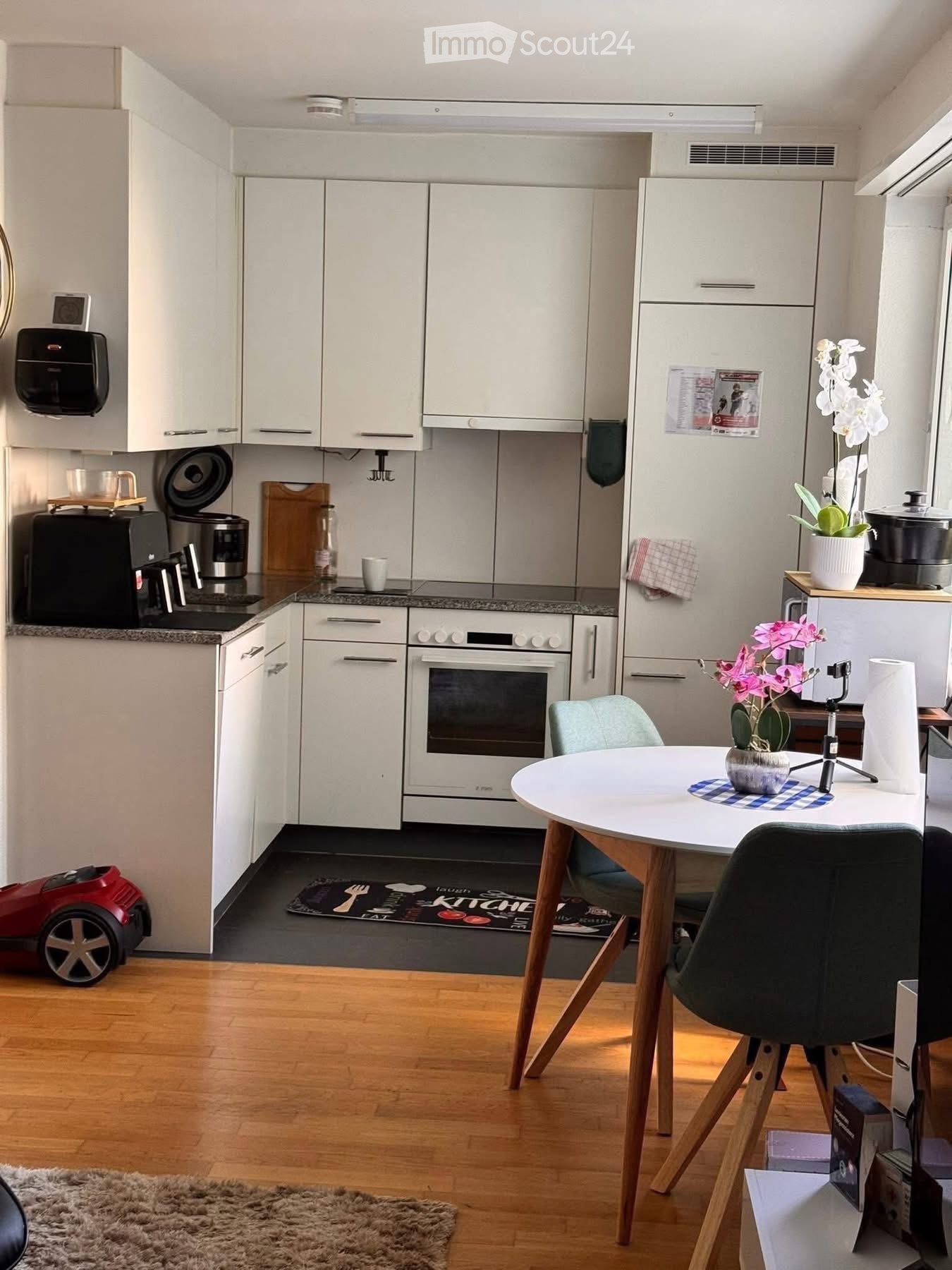 Modern kitchen with white cabinets, stainless steel appliances, a round dining table with chairs, and decorative flower pots.