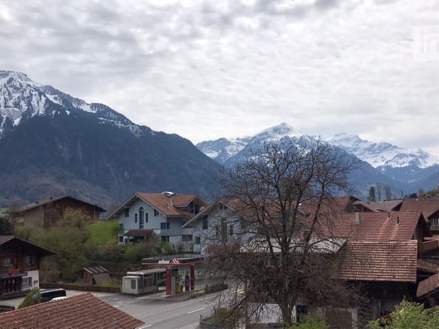 A picturesque village scene with traditional houses and snow-capped mountains in the background.