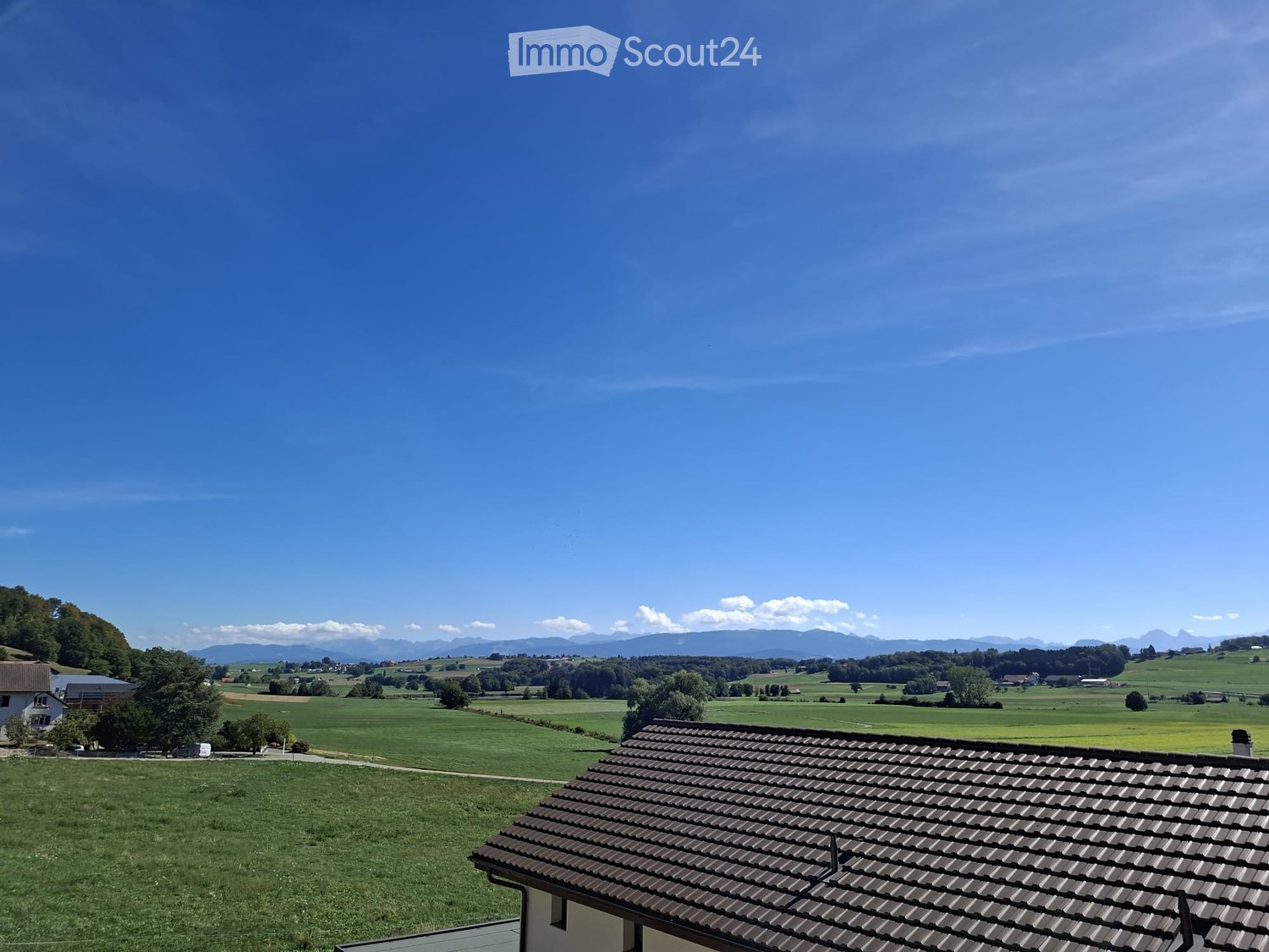 A panoramic view of a lush green field with scattered trees and distant mountains under a clear blue sky.