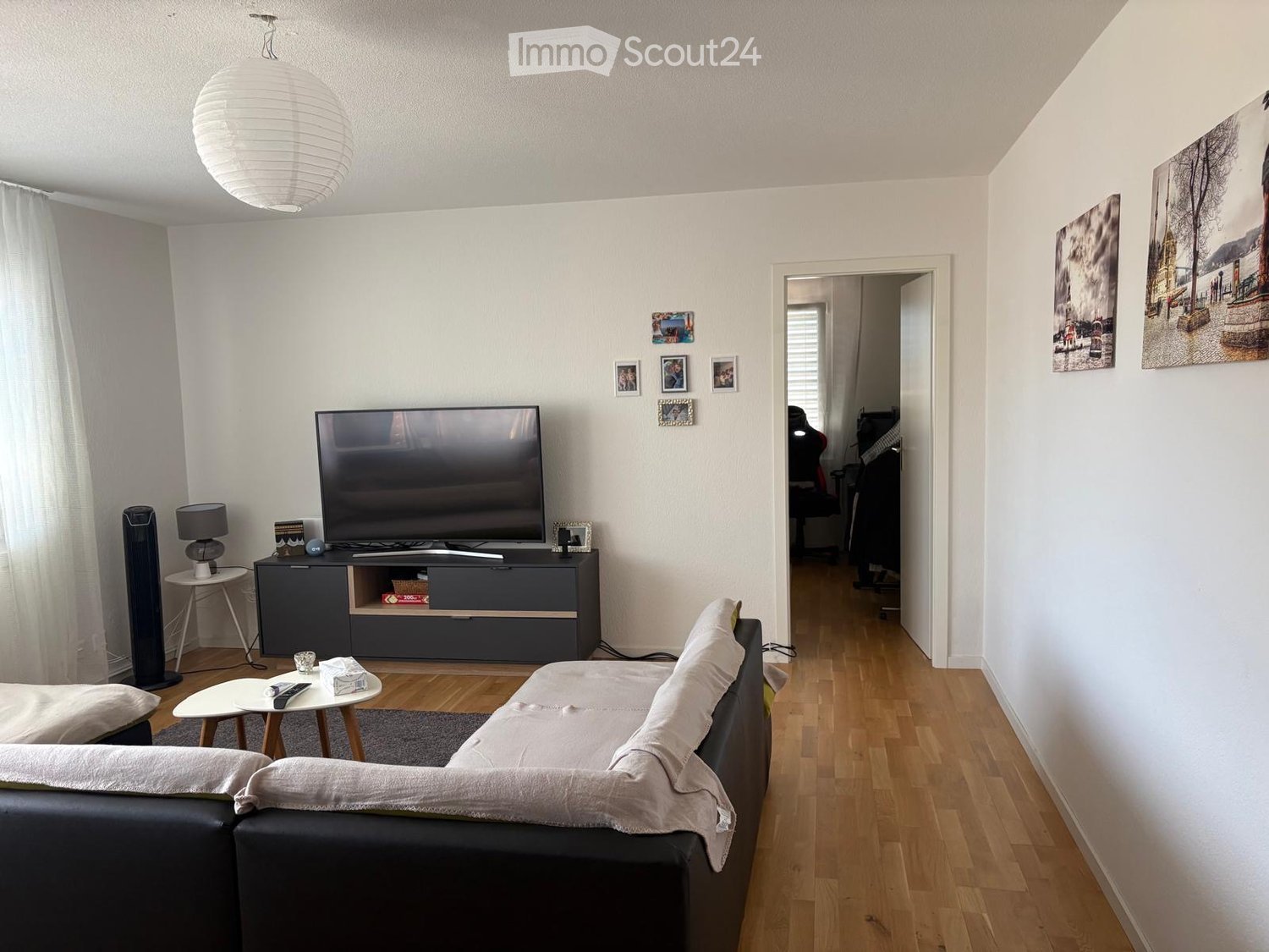 Modern living room with a grey sofa, coffee table, TV, and decorative items on a wooden floor.