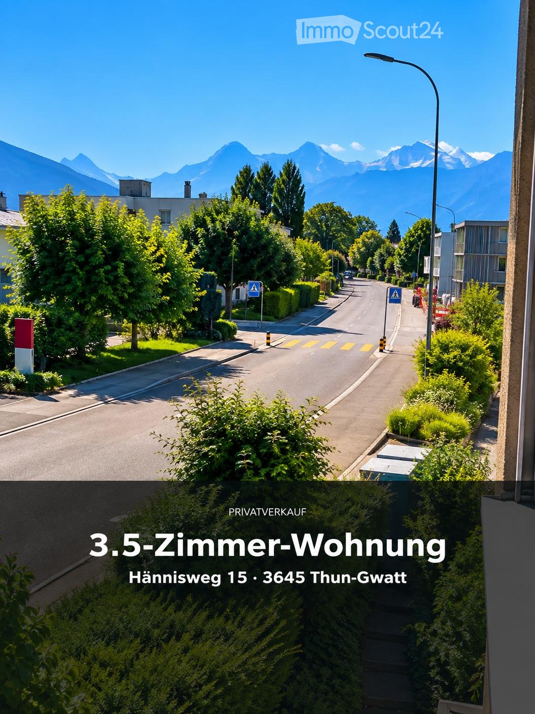 Residential street lined with trees and houses, with a clear view of mountains in the background.