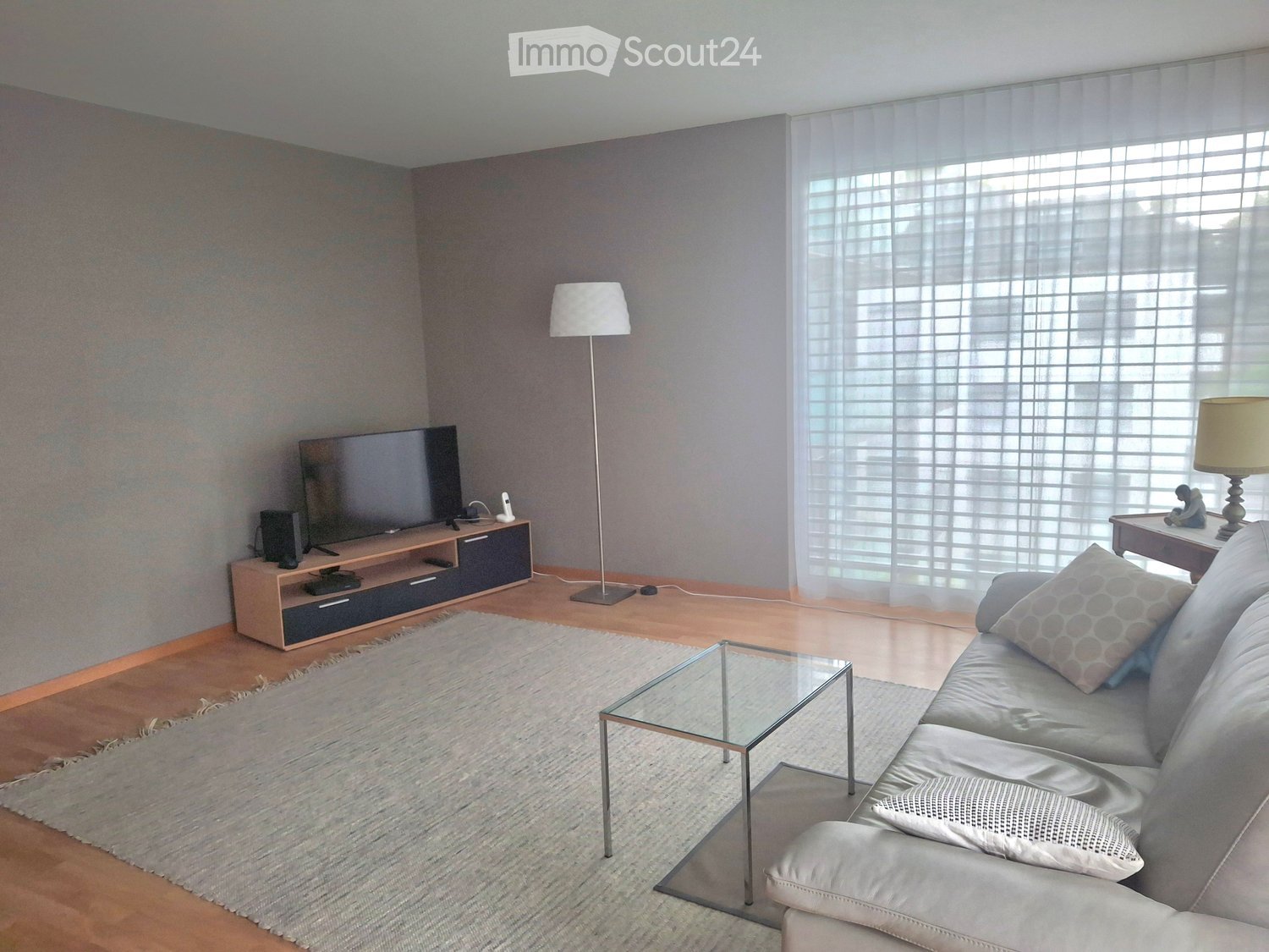 Modern living room with a grey sofa, glass coffee table, flat-screen TV on a wooden stand, floor lamp, and a small side table with a decorative item.