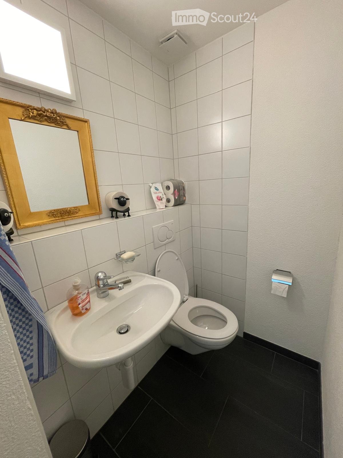 A small bathroom with a white sink, toilet, and mirror. The sink has a silver faucet and a soap dispenser. Toilet paper and a towel are visible, along with a decorative mirror and a small figurine on the windowsill.