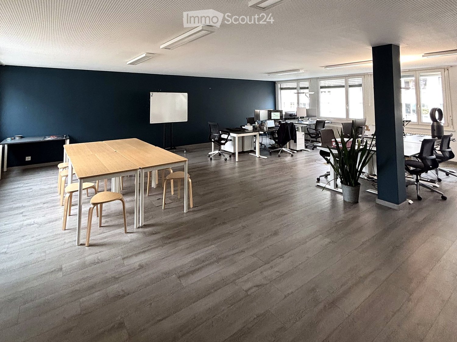 Office space with wooden floor, large windows, whiteboard, tables, chairs, and a potted plant.