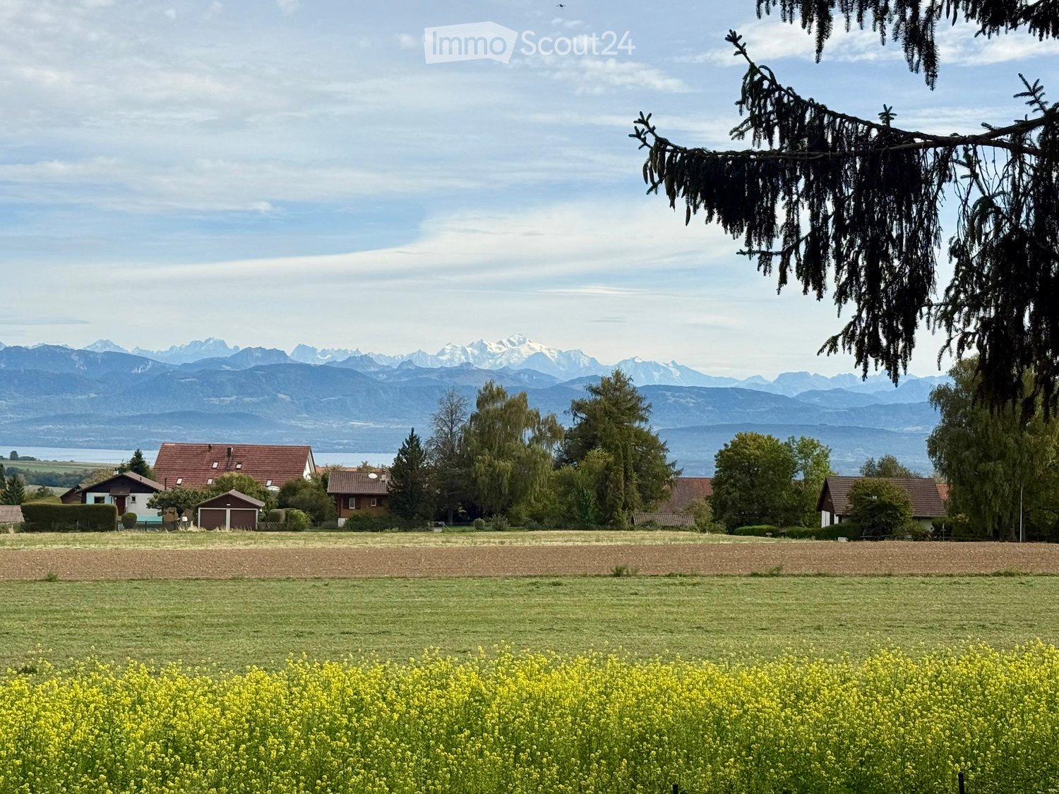 Rural landscape with a field of yellow flowers, several houses, trees, and distant mountains under a partly cloudy sky.