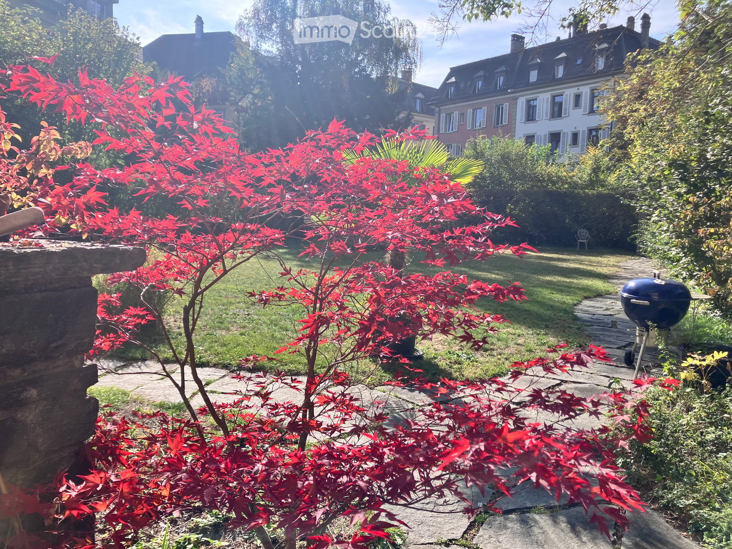 Well-maintained garden with red maple tree, stone pathway, barbecue, and lush greenery.