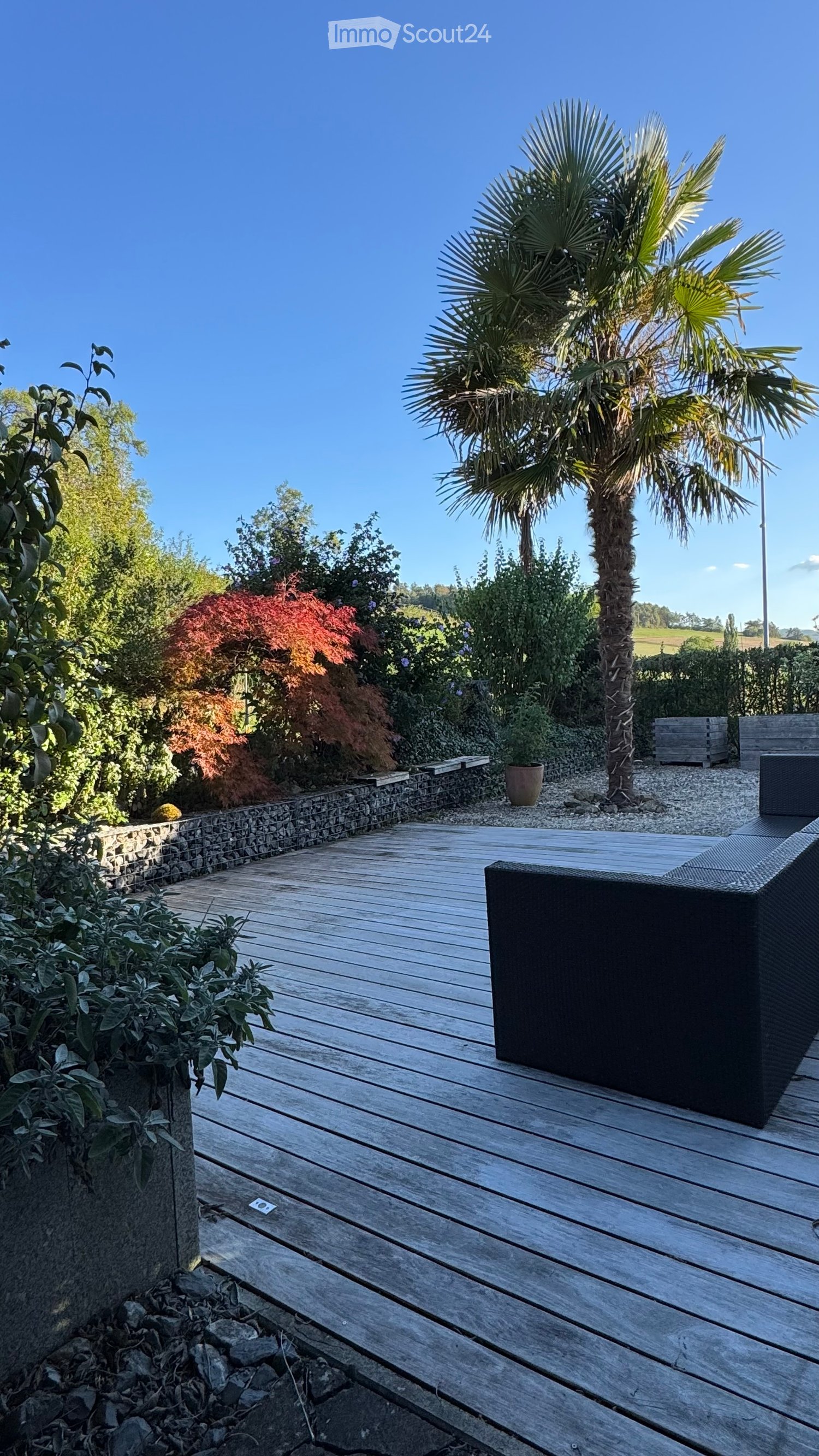 Wooden deck patio surrounded by lush greenery, including a tall palm tree, shrubs, and a stone border. Features a black outdoor sofa and a small potted plant.