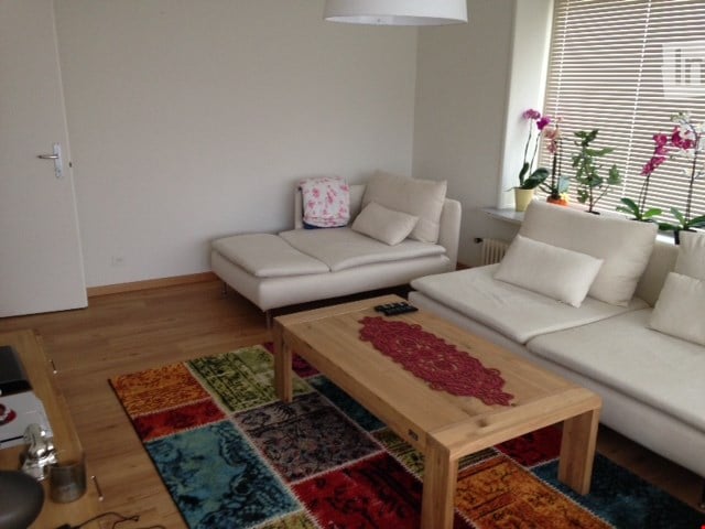 Modern living room with white leather sofa, wooden coffee table, colorful rug, and potted plants near the window.