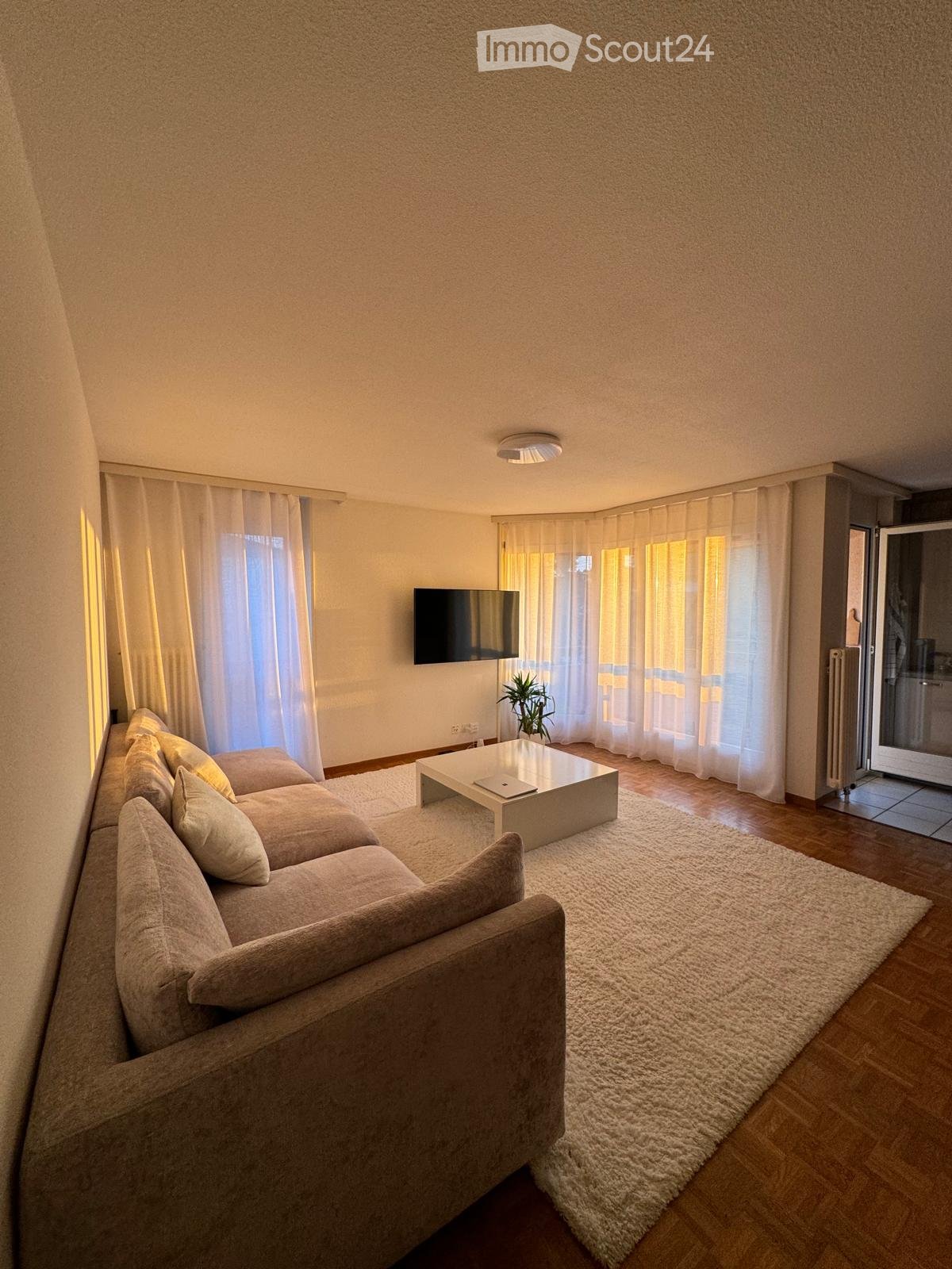 Modern living room with a large sectional sofa, coffee table, flat-screen TV, and a small plant near the window. The room features wooden flooring, white walls, and large windows with sheer curtains.