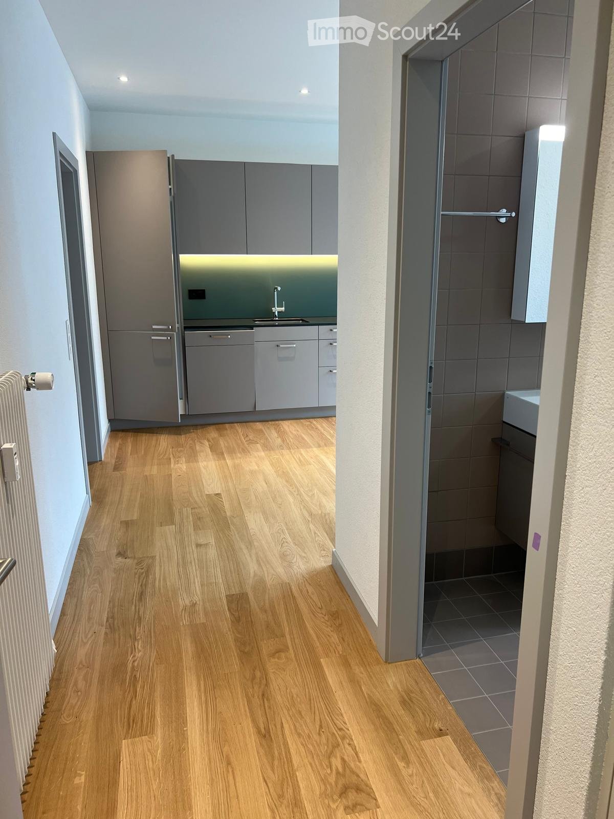 A narrow hallway with light wooden flooring, leading to a modern kitchen and a bathroom. The kitchen features grey cabinets, a sink, and a dishwasher, while the bathroom has grey tiles and a shower stall.