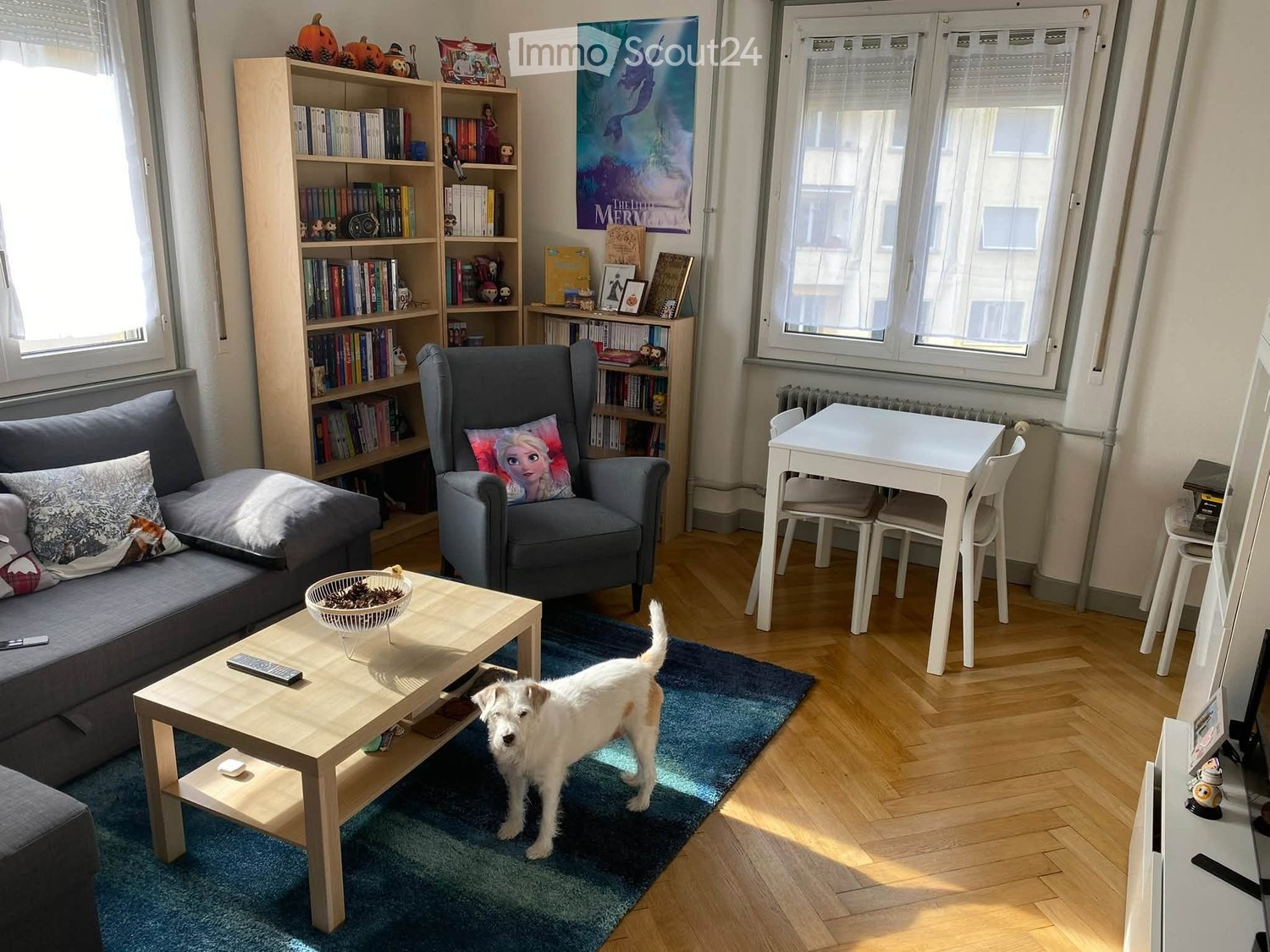 Living room with a sofa, armchair, coffee table, dining table, bookshelf, and a small dog.