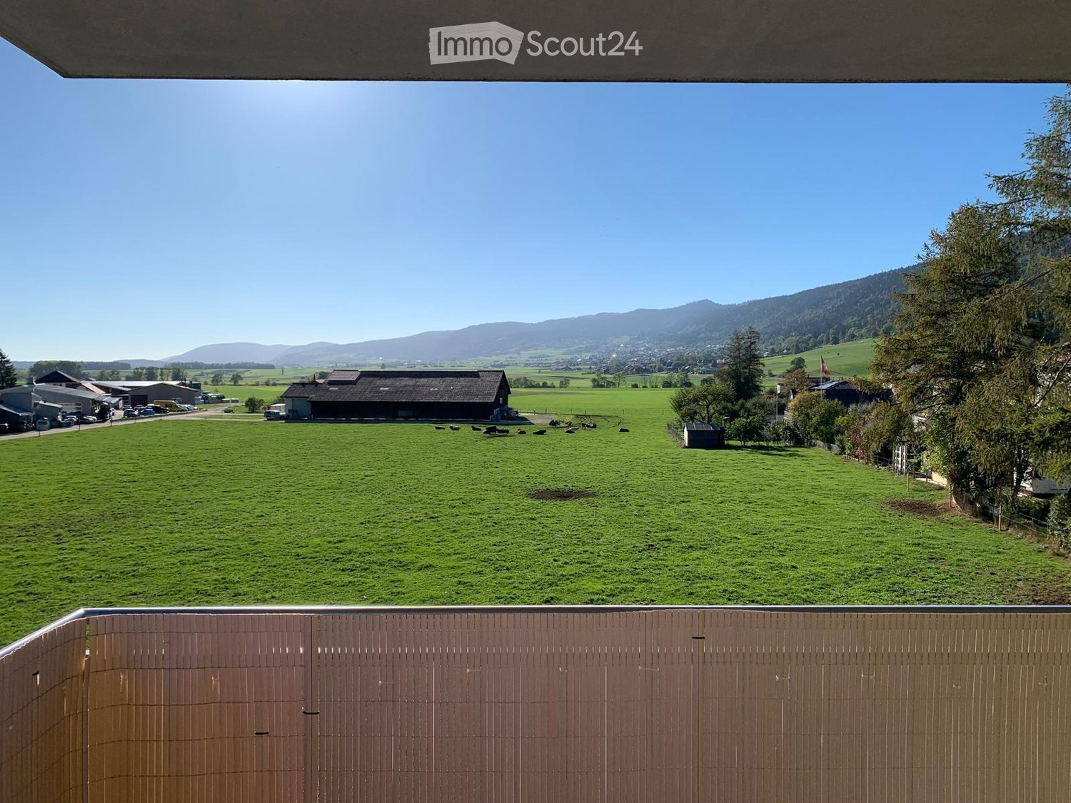 Balcony overlooking a green field with grazing cows, trees, and distant mountains under a clear blue sky.