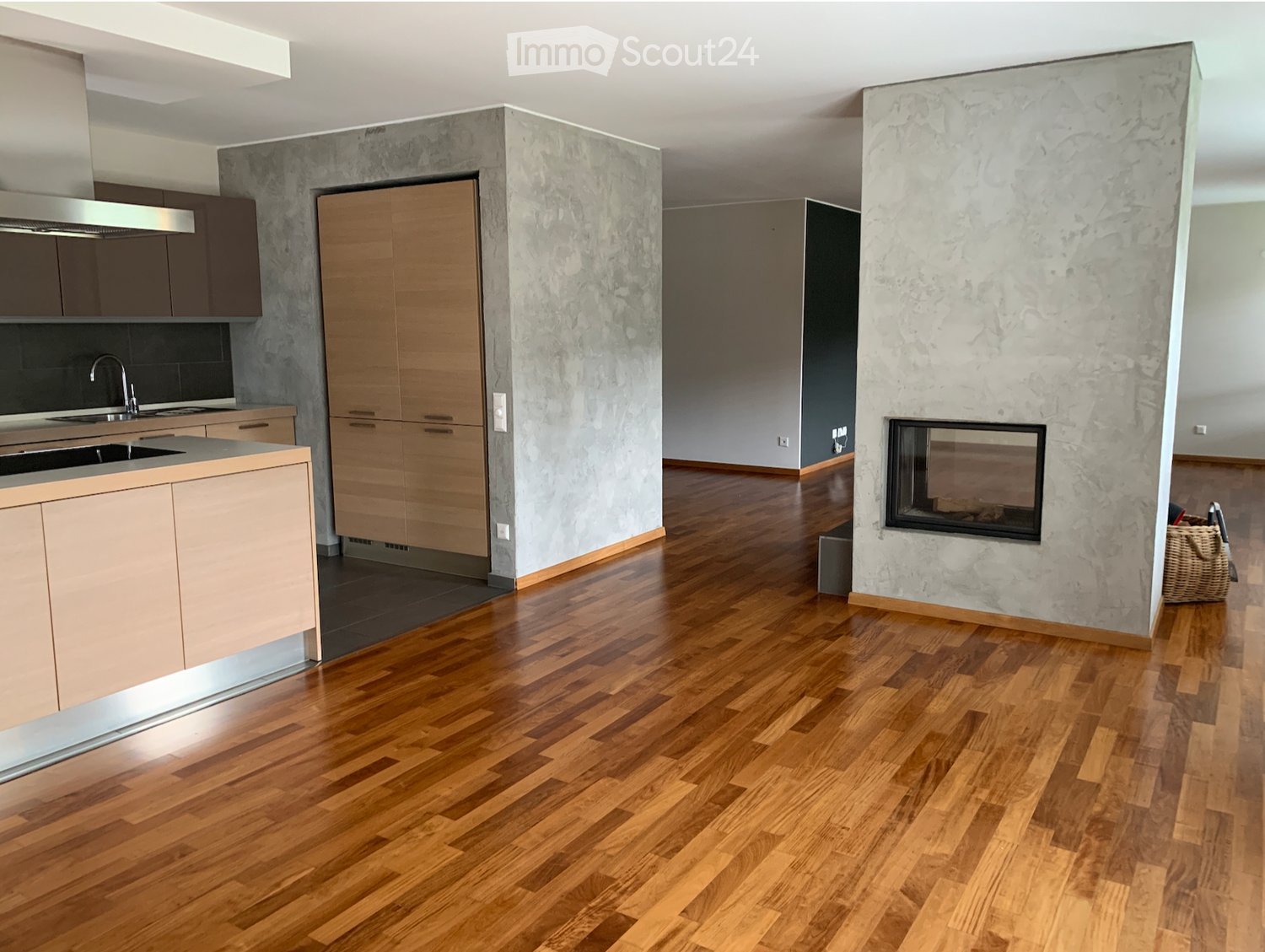 Modern kitchen and living area with wooden flooring, stainless steel appliances, and a built-in fireplace.
