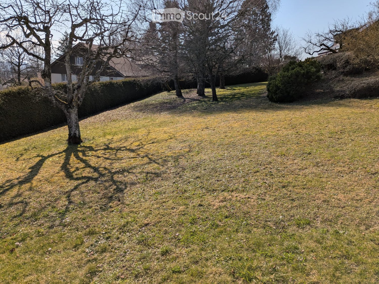 large grassy area with a few trees and bushes, a house in the background