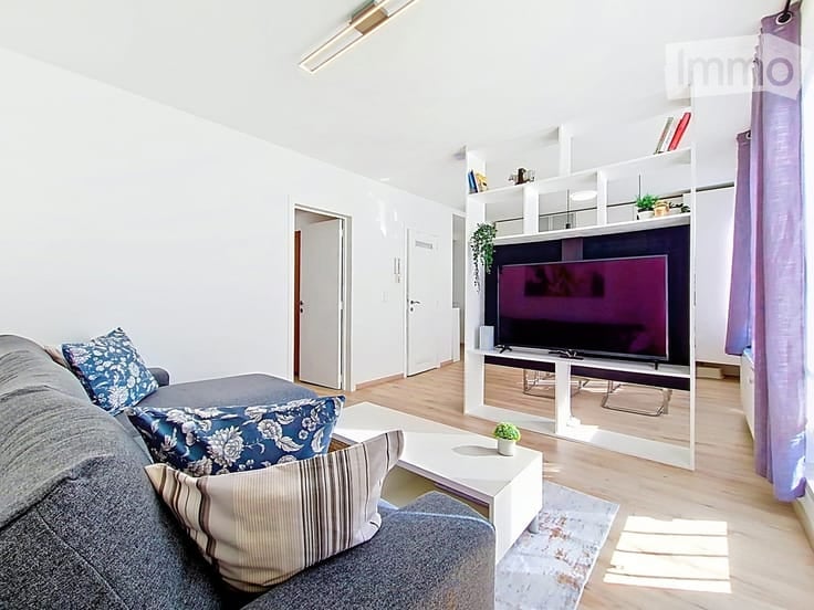 Modern living room with a grey sectional sofa, white coffee table, TV stand with a flat-screen TV, shelves with books and decorative items, and small potted plants.