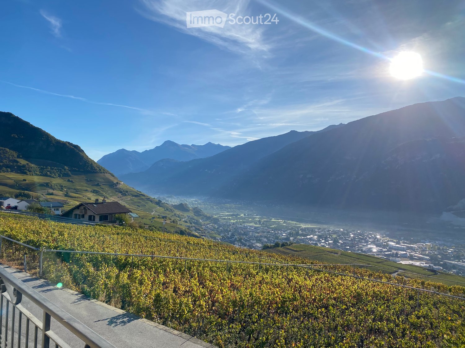 Panoramic view of a vineyard-covered hillside overlooking a town and distant mountains under a clear blue sky.
