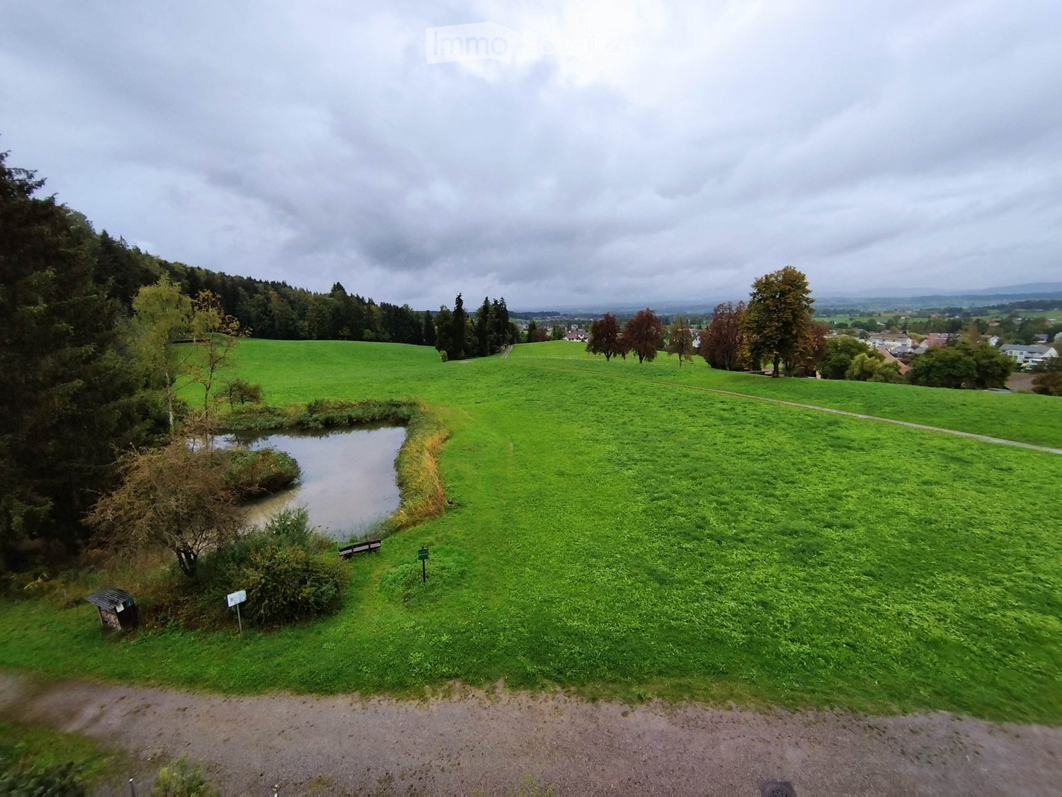 A panoramic view of a lush green field with a small pond, scattered trees, and a winding path, under an overcast sky.