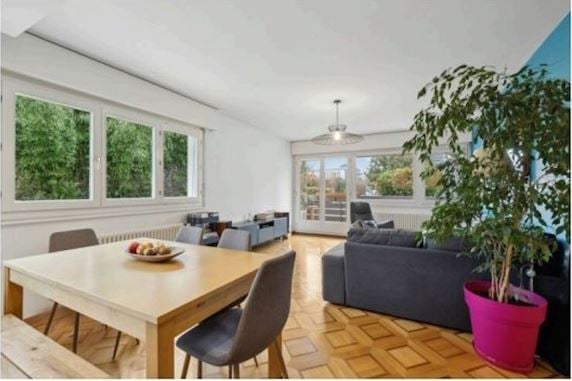 Bright, open-plan living and dining area with large windows, a grey sofa, a wooden dining table with chairs, and a potted plant in a pink pot.