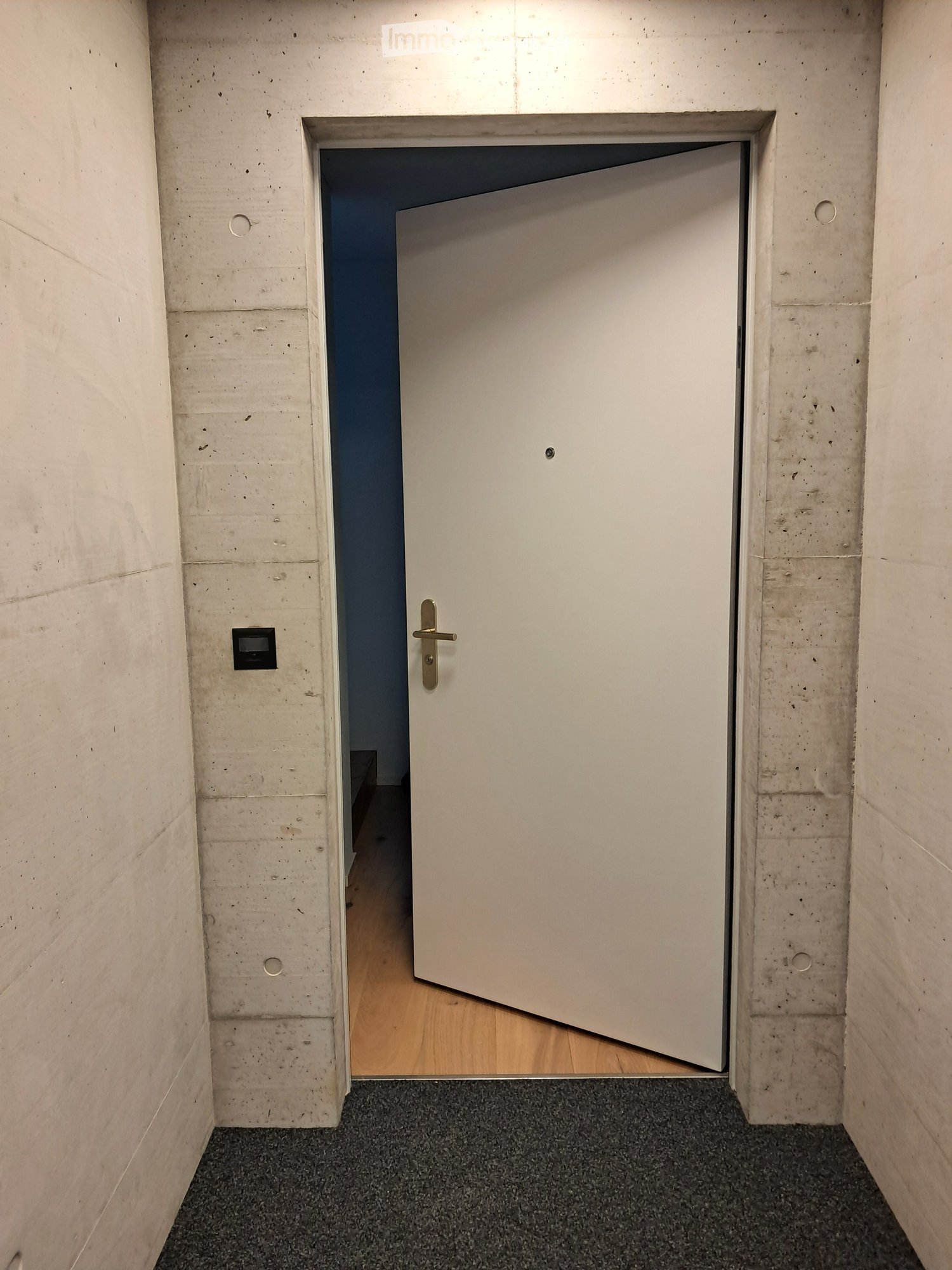 A narrow hallway with concrete walls, a grey carpeted floor, and a white door with a brass handle leading to another room with wooden flooring.