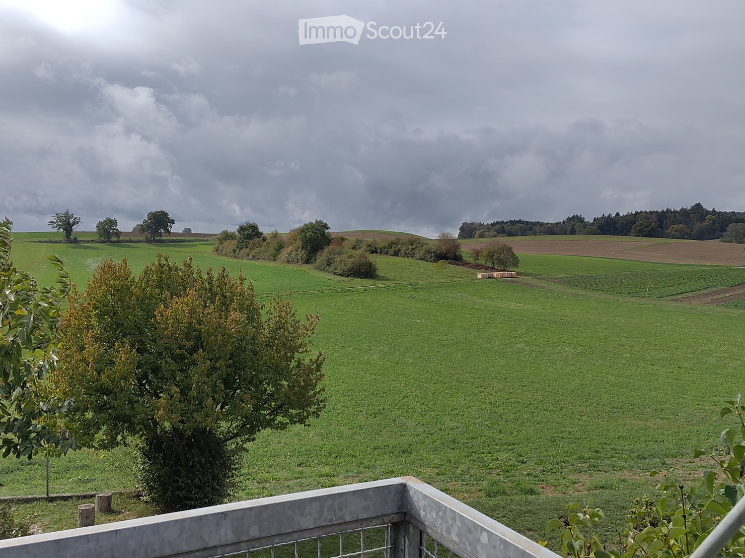 A wide, open green field with scattered trees and bushes under a partly cloudy sky. The foreground shows a low concrete wall and metal railing, suggesting a raised outdoor area or balcony overlooking the landscape.