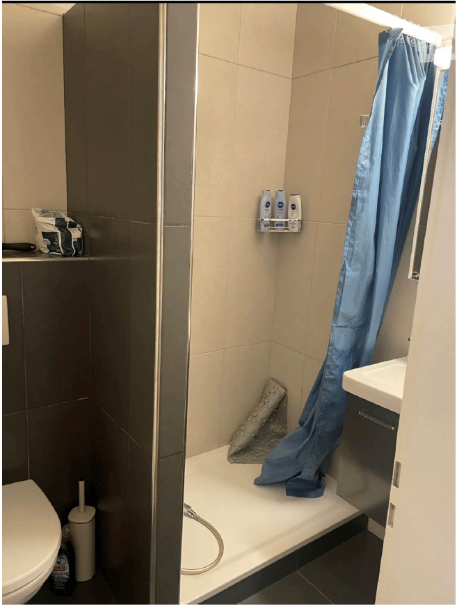 Compact bathroom with a toilet, sink, and shower area. Shower curtain is drawn, and a shower shelf holds toiletries. Cleaning supplies are visible near the toilet.