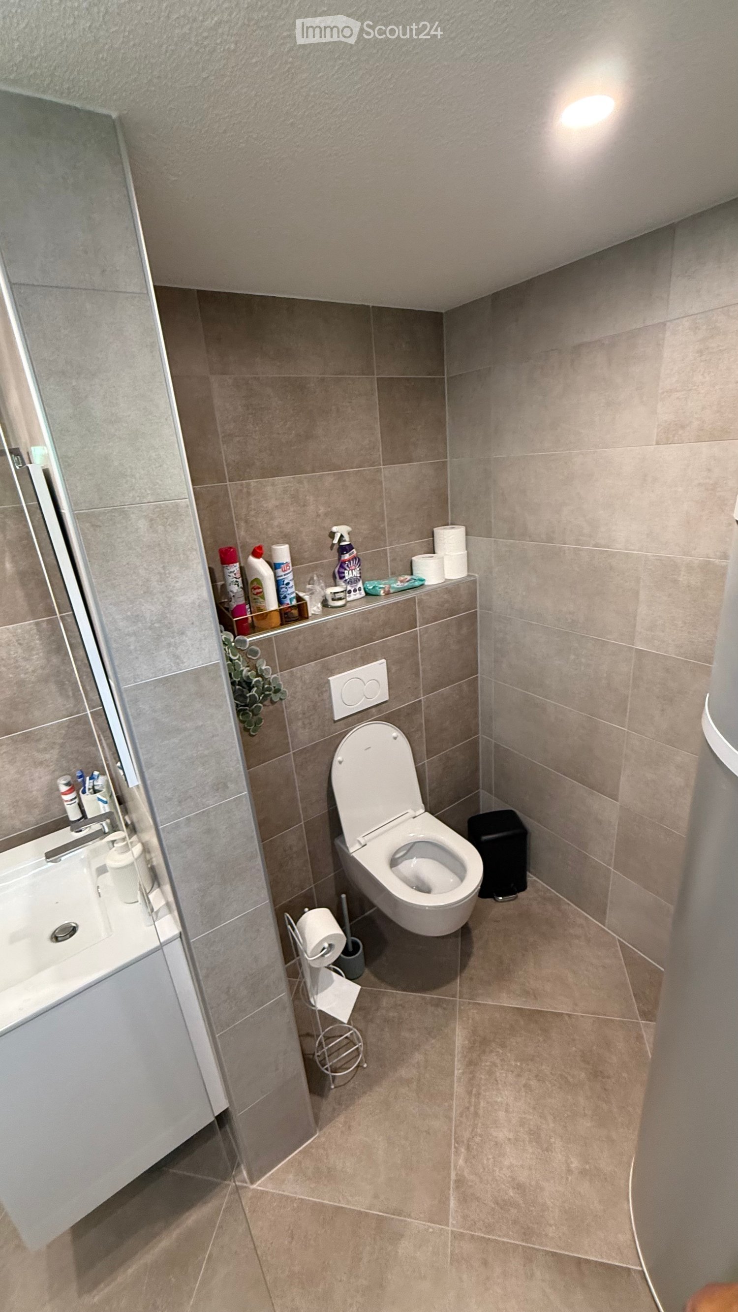 Modern bathroom with a toilet, toilet paper holder, cleaning supplies on a shelf, a sink with a mirror, and a shower area.