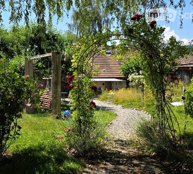 Garden with a gravel pathway, climbing roses, a swing, and a house in the background.