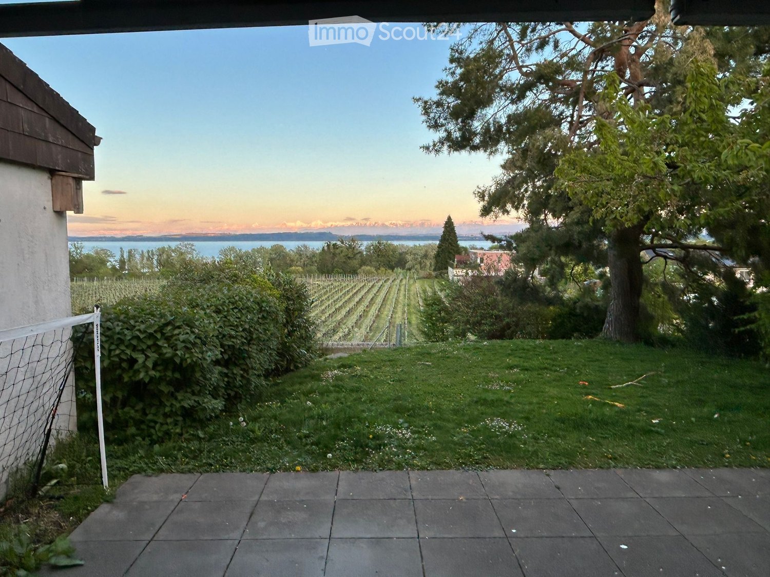 A serene garden with a well-maintained lawn, rows of grapevines, and a scenic view of a lake and distant mountains.