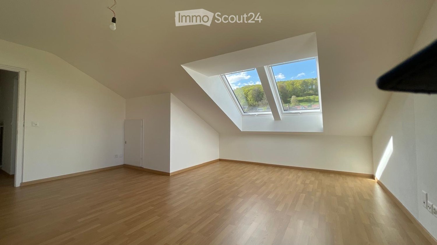 Empty attic room with wooden flooring, white walls, and a skylight window offering a view of greenery outside.