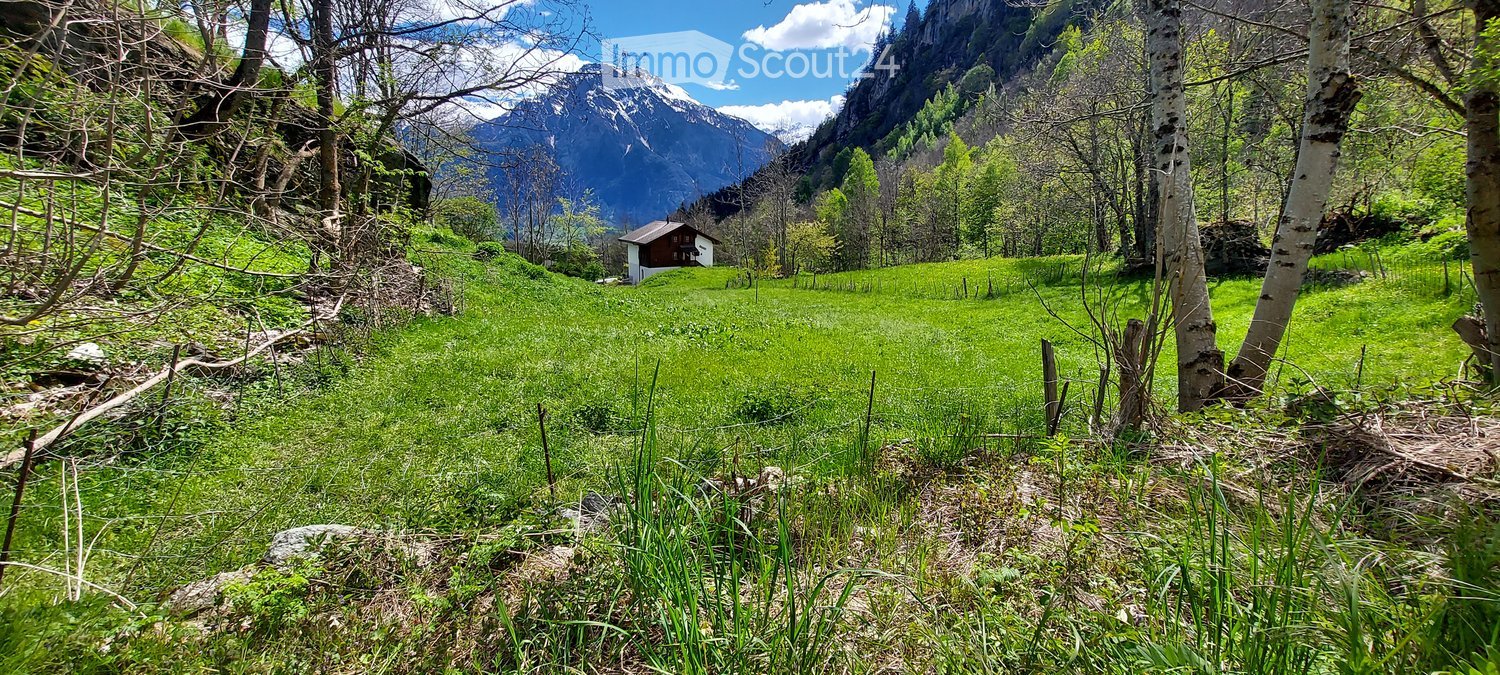 A lush green meadow with a small house in the background, surrounded by trees and mountains under a clear blue sky.