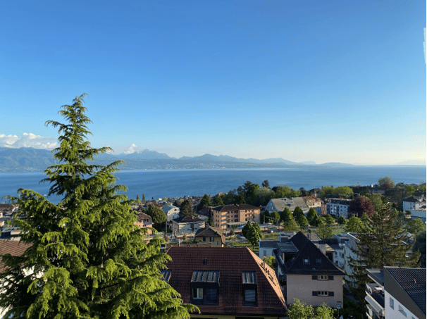 Panoramic view of a town with houses, a lake, and distant mountains under a clear blue sky.