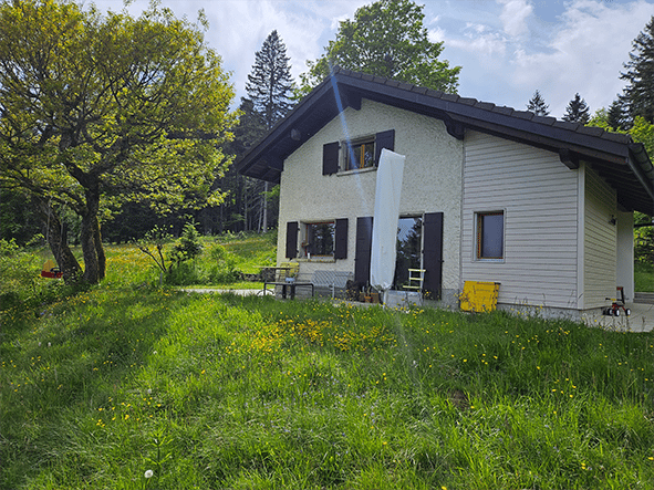 Single-story house with white siding, dark roof, multiple windows, and a covered patio area. The surrounding yard is lush with green grass and yellow flowers, and there are trees in the background.