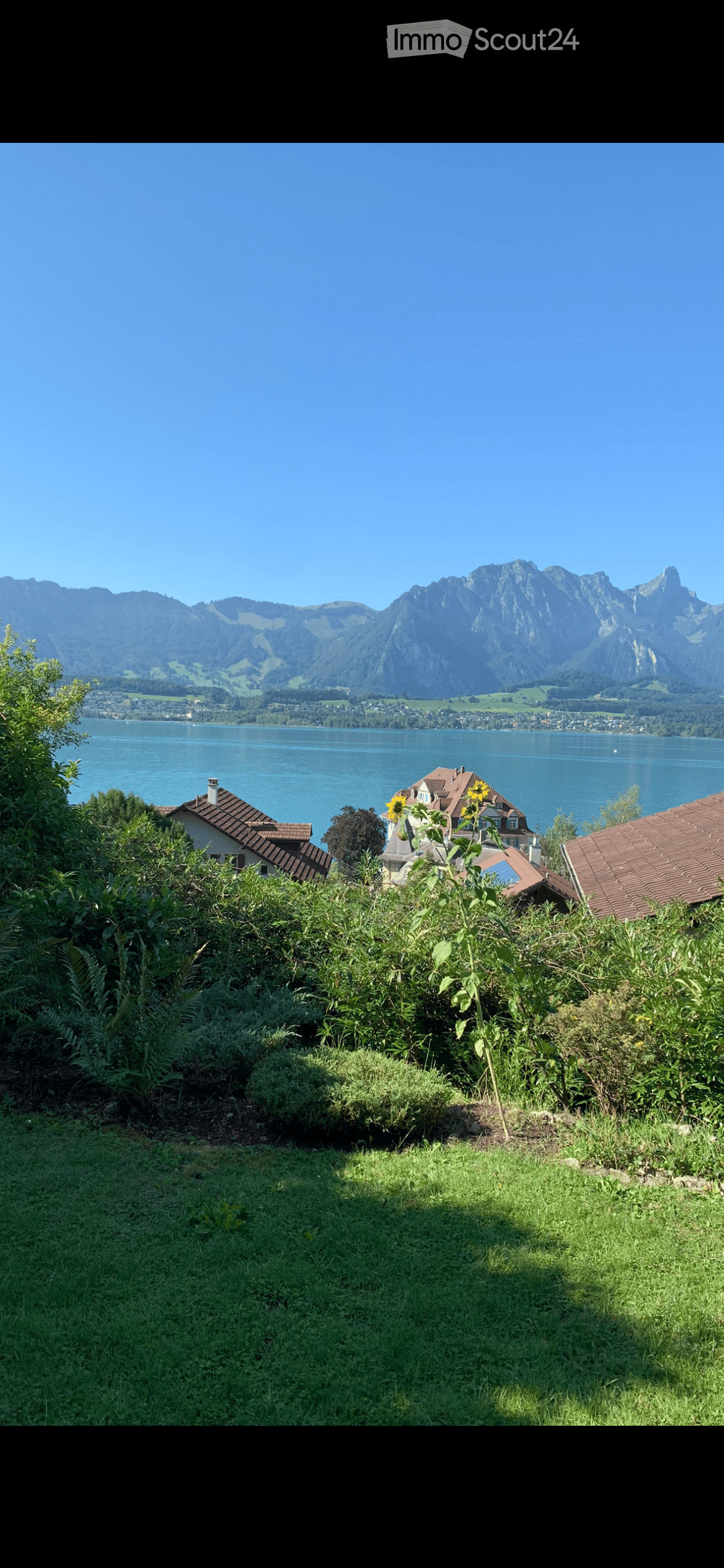 Garden with lush green lawn, shrubs, sunflower plant, houses in background and lake view.