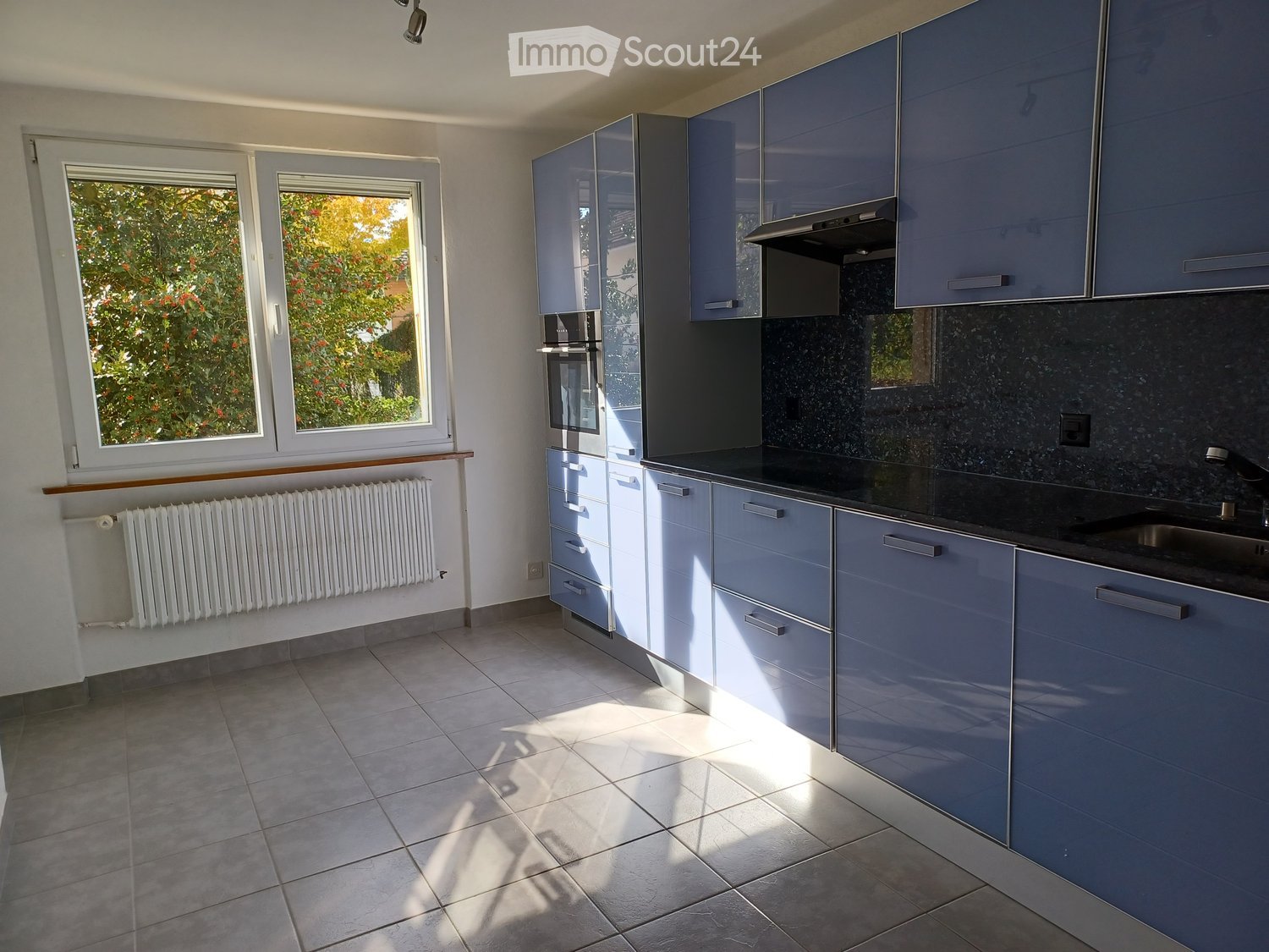 Modern kitchen with grey cabinets, a black countertop, and a stainless steel sink. The space features large windows with a view of greenery outside and a radiator below the windows.