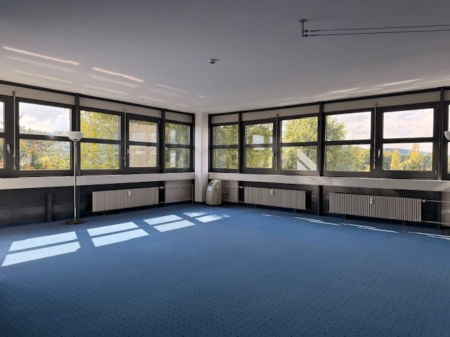 empty room, blue carpet, large windows, two floor lamps, grey radiators