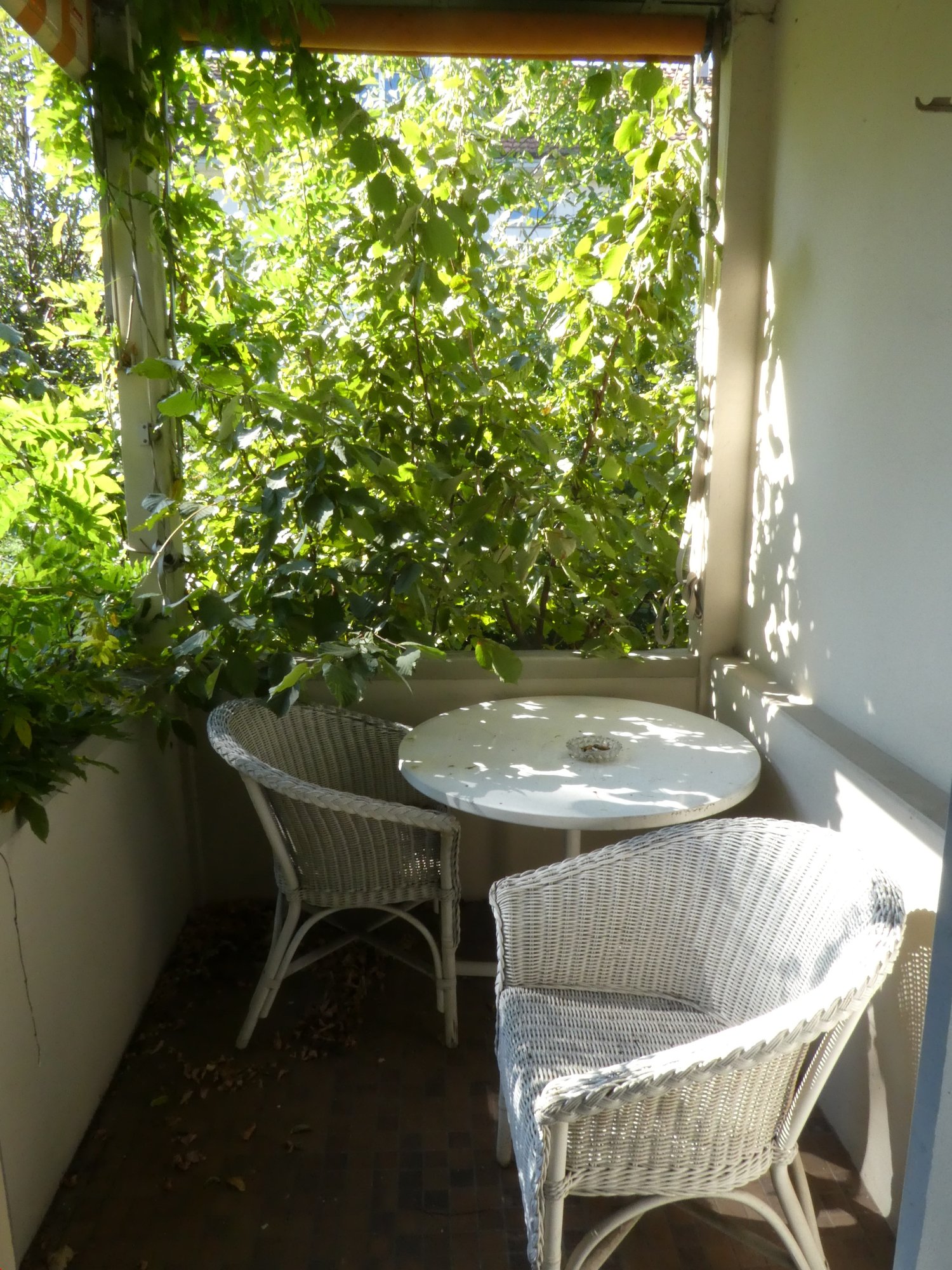 Two wicker chairs, a small round table, green plants hanging over the balcony, brick floor