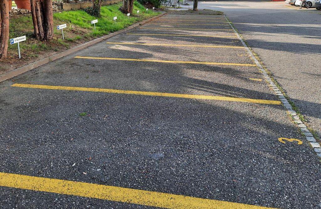 Multiple parking spaces, some labeled, yellow parking lines, trees lining the edge