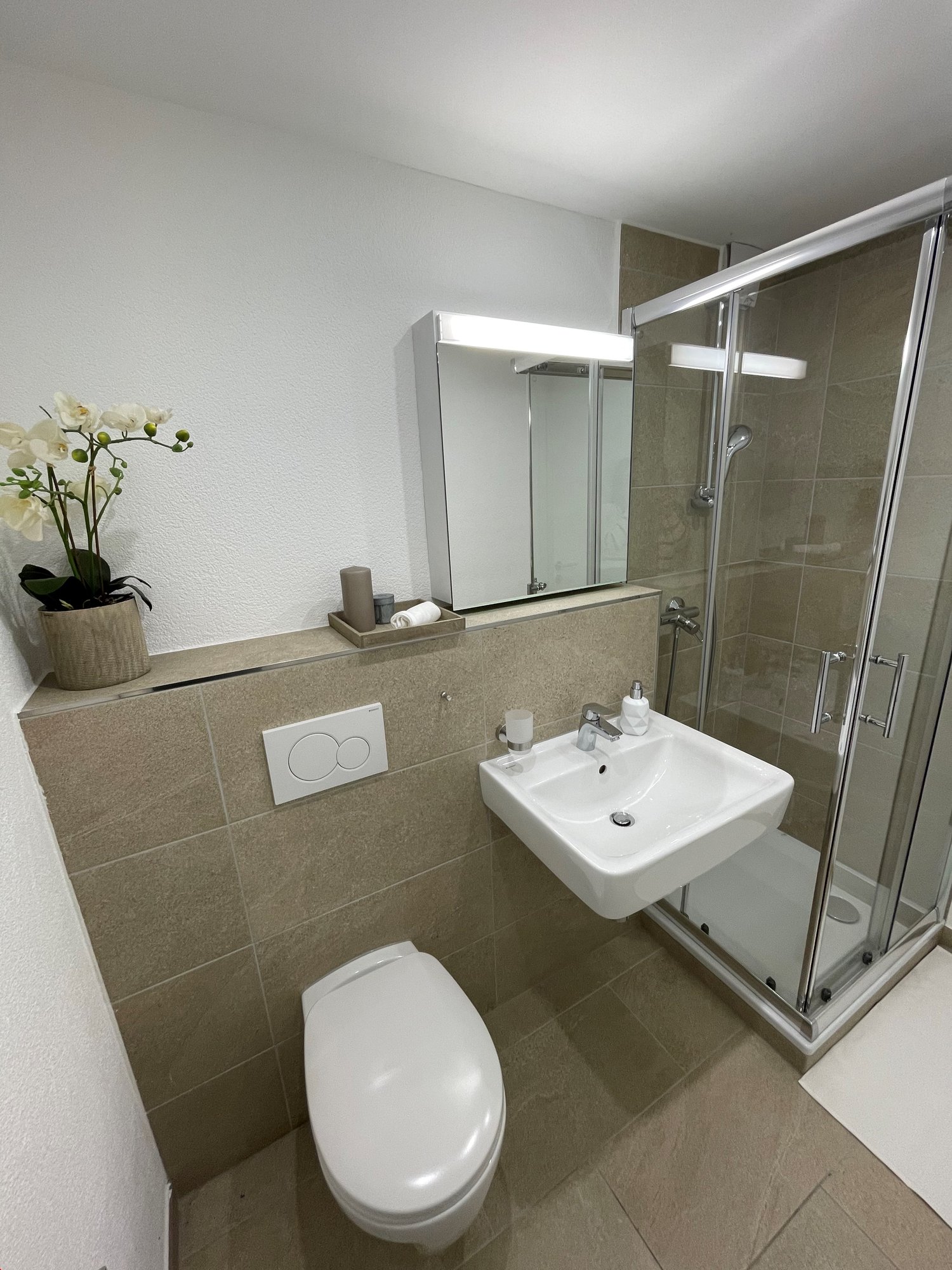 Bathroom with toilet, sink, shower, mirror, flower vase, wall outlets