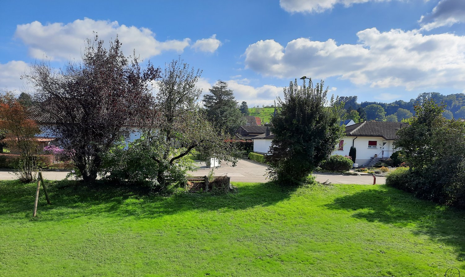 Large green grass lawn in front of several houses and trees. A driveway leads up to a few houses. There is a green hillside in the background.