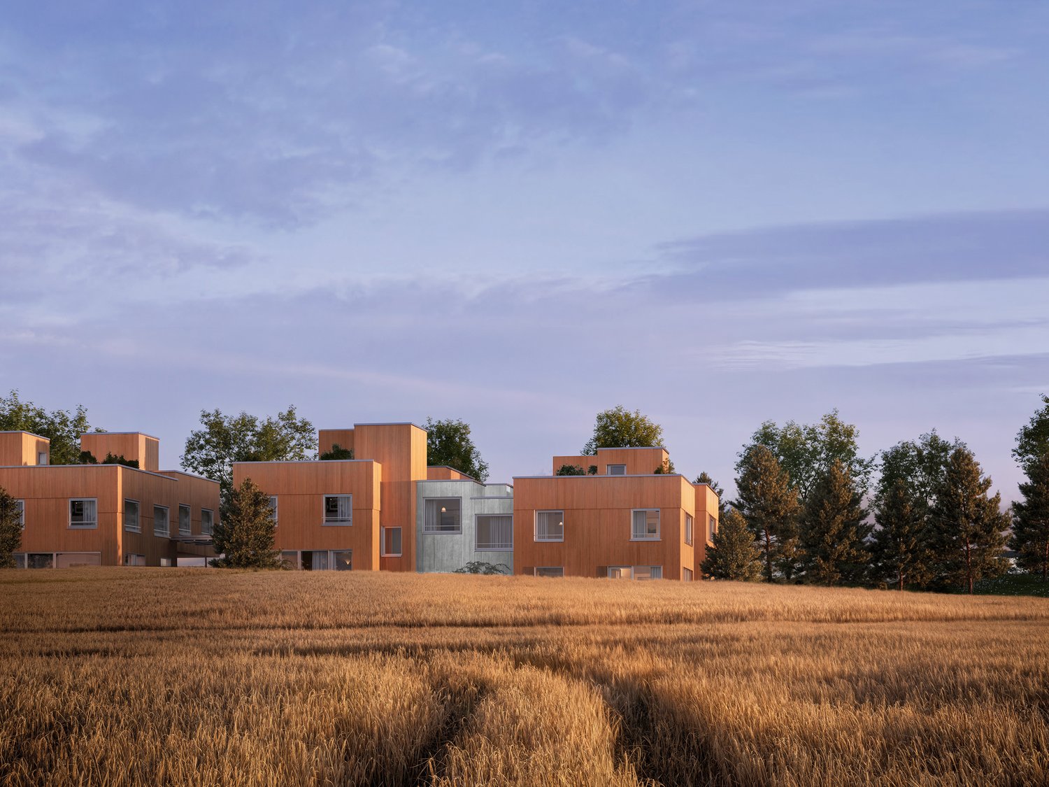 Modern wooden house, raised ground floor, several levels, surrounded by trees, dry grass field