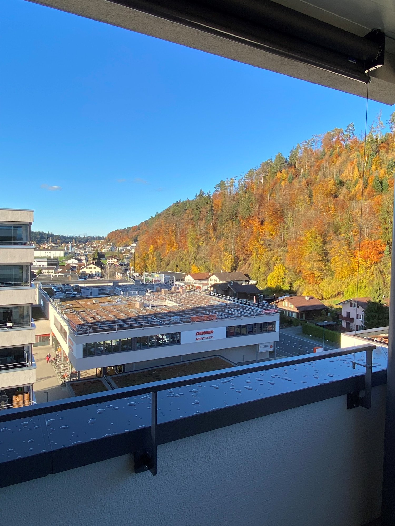 urban landscape, forest in the background, multiple buildings, clear sky