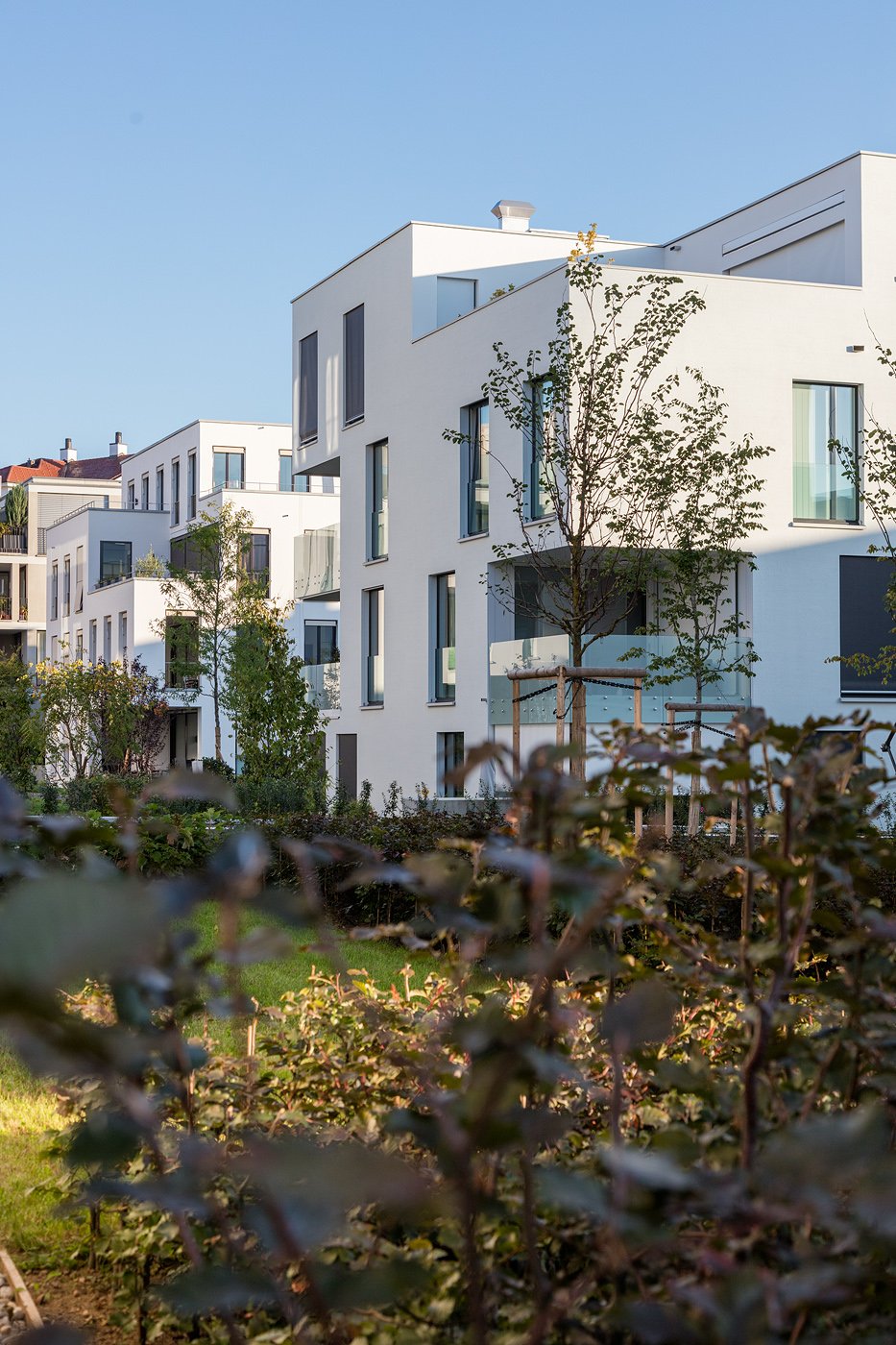 modern apartment building, multiple units, white exterior, glass windows, several balconies, greenery