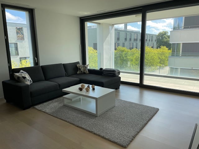 modern apartment living room, black sofa, white coffee table, carpet, large windows
