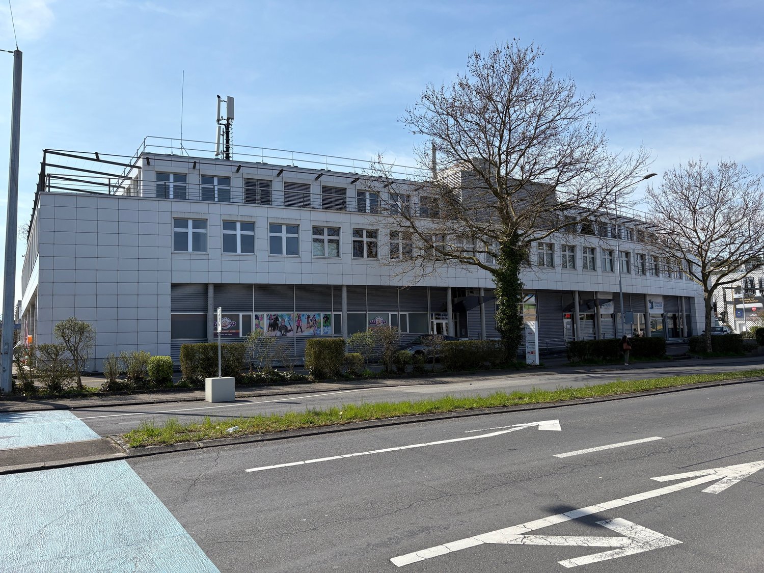 Large white building with multiple windows, a car parked in front, a tree in front, and a streetlight.