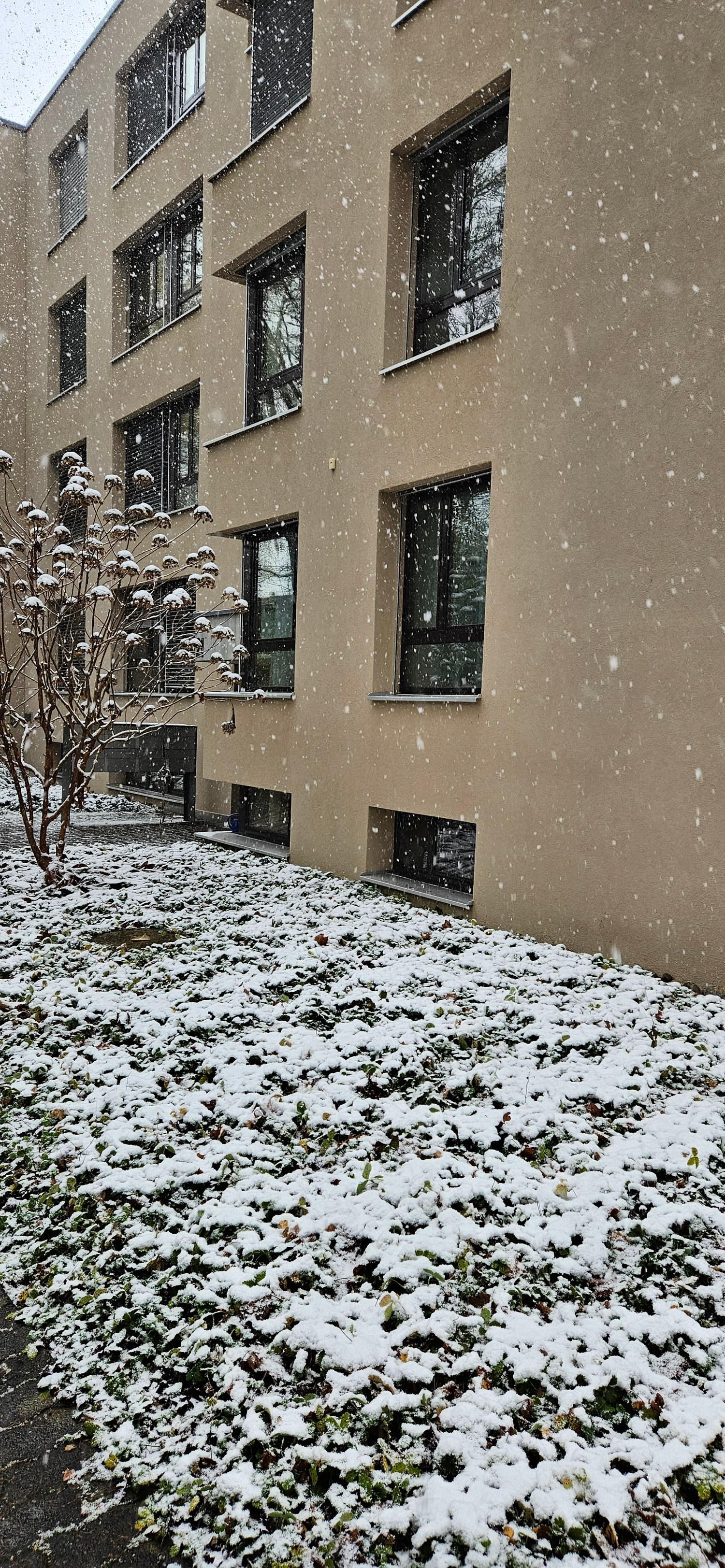 A building with multiple floors, covered in snow, with a tree and pathway.