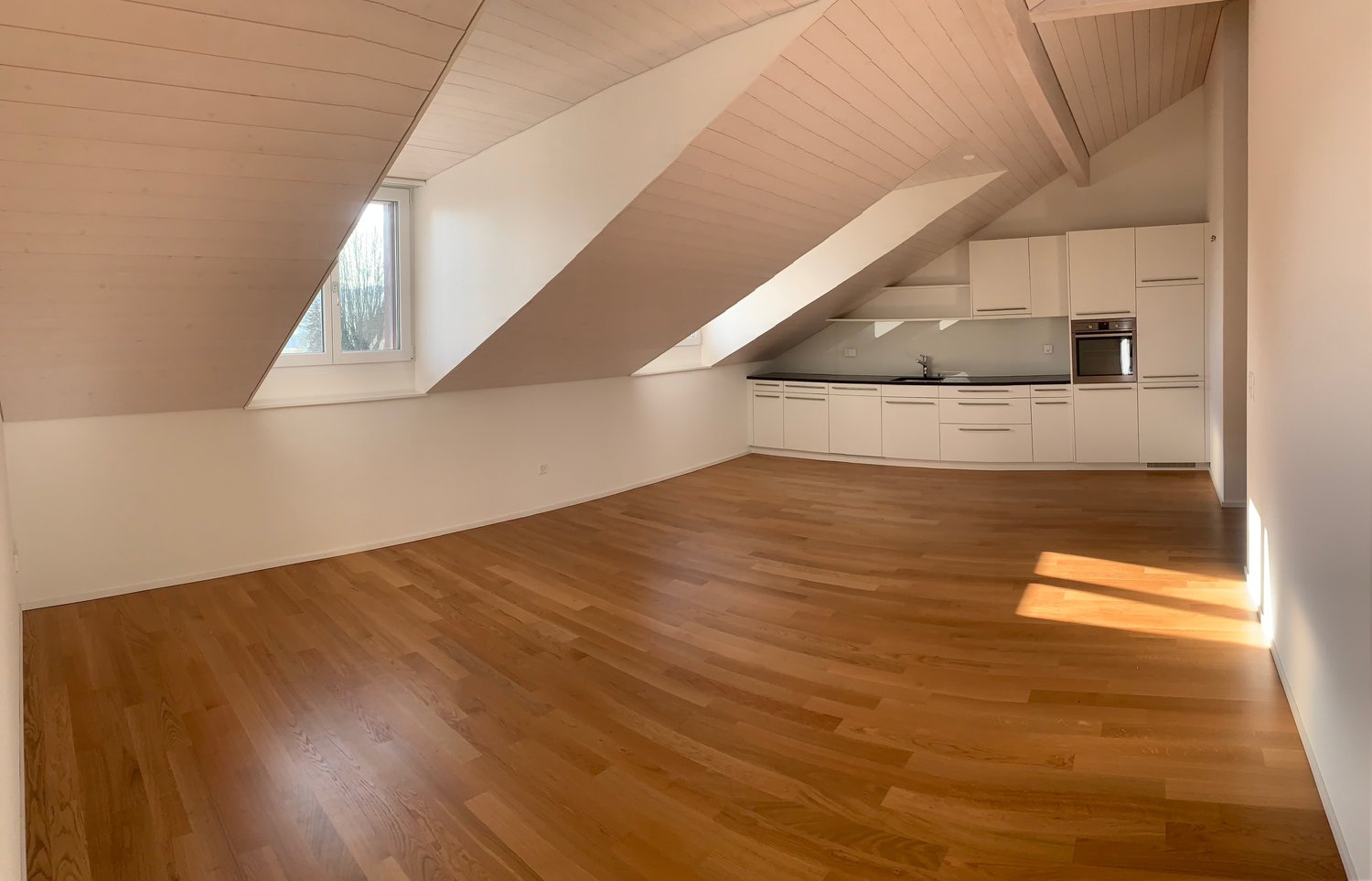 Spacious attic apartment with vaulted ceilings, hardwood floors, and a modern kitchen with built-in appliances including a dishwasher.