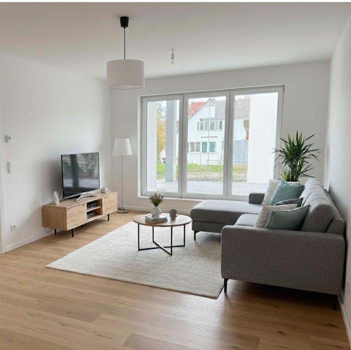 gray sofa, coffee table, TV, potted plant, wooden floor, white walls, lamp, carpet