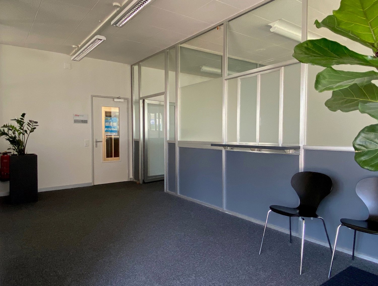 Empty office room with glass partitions, gray carpet, black chairs, a door, and potted plants