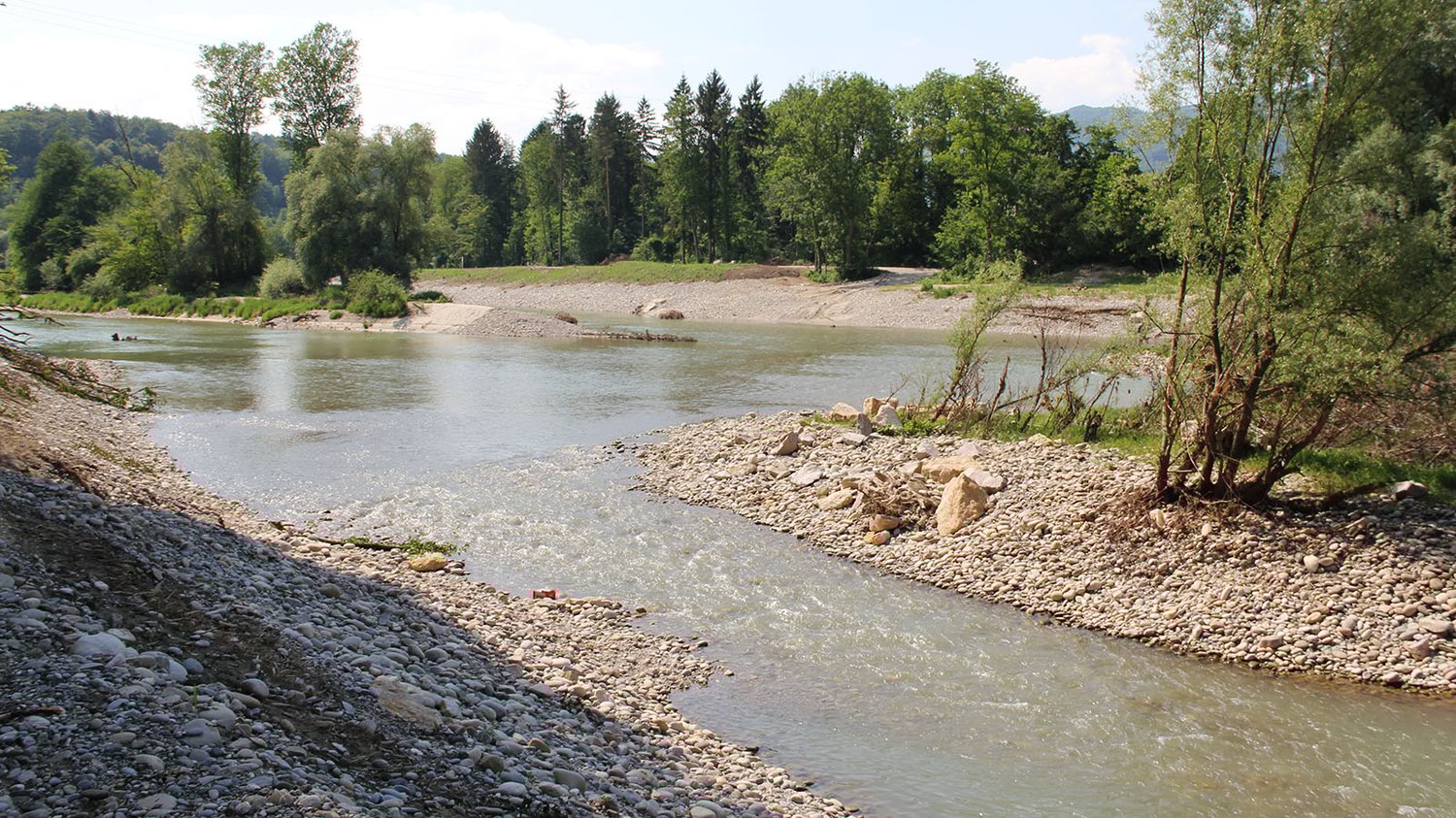 River with pebble banks, grass on the sides, trees on both sides